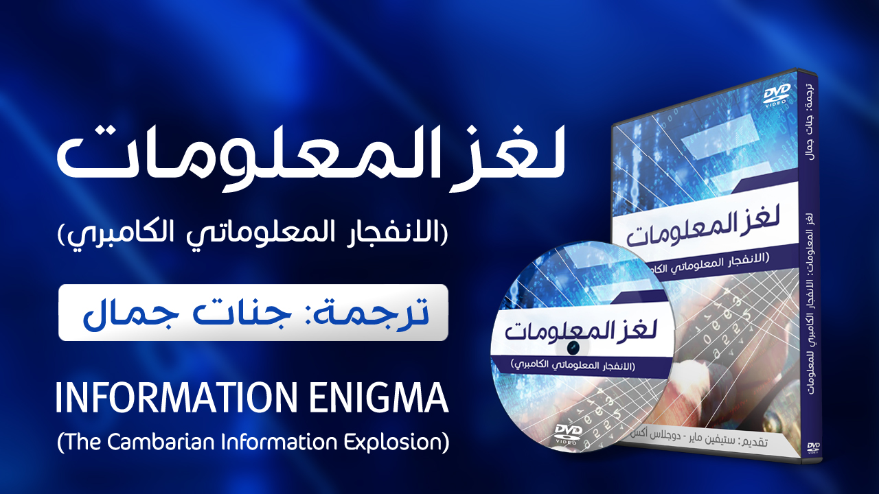 لغز المعلومات: الانفجار المعلوماتي الكامبري